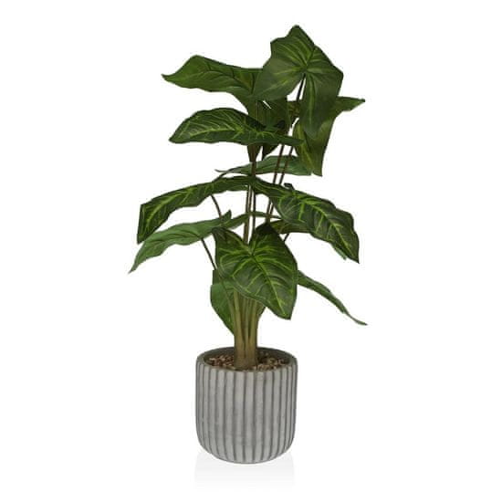 Versa Dekorativna rastlina Versa 15 x 53 x 15 cm Cementna plastika