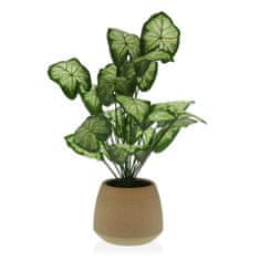 Versa Dekorativna rastlina Versa 15 x 52 x 15 cm Cementna plastika