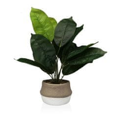 Versa Dekorativna rastlina Versa 15 x 43 x 15 cm Cementna plastika