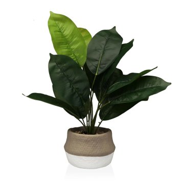 Versa Dekorativna rastlina Versa 15 x 43 x 15 cm Cementna plastika