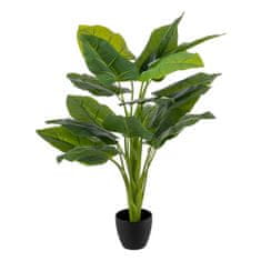 BigBuy Okrasna rastlina Zelena 95 cm Arum lilija