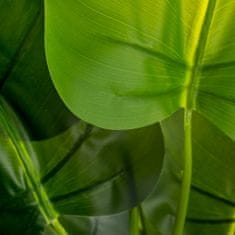 BigBuy Okrasna rastlina Zelena 95 cm Arum lilija
