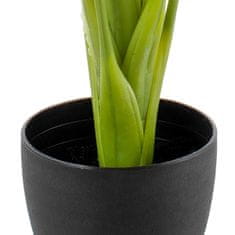 BigBuy Okrasna rastlina Zelena 95 cm Arum lilija