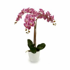 slomart dekorativna rastlina orhideja plastika 30 x 80 x 40 cm (2 kosov)