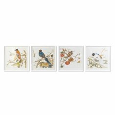 DKD Home Decor Slika DKD Home Decor 60 x 2,5 x 60 cm Ptica Shabby Chic (4 kosi)