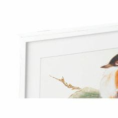 DKD Home Decor Slika DKD Home Decor 60 x 2,5 x 60 cm Ptica Shabby Chic (4 kosi)