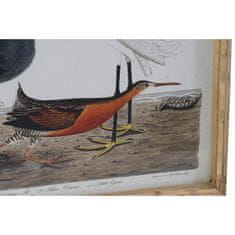 NEW Slika DKD Home Decor 60 x 2,8 x 45 cm Ptice Sodobna (4 Kosi)