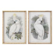 DKD Home Decor Slika DKD Home Decor 50 x 2,8 x 70 cm Kolonialni papagaj (2 enoti)