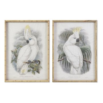 DKD Home Decor Slika DKD Home Decor 50 x 2,8 x 70 cm Kolonialni papagaj (2 enoti)