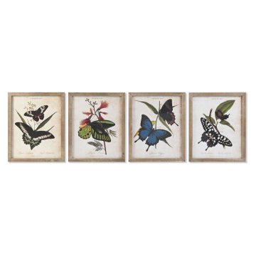 DKD Home Decor Slikarstvo DKD Home Decor Butterflies 40 x 2 x 50 cm Shabby Chic (4 kosi)