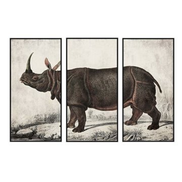 DKD Home Decor Slika DKD Home Decor Kolonialni nosorog (180 x 4 x 120 cm)