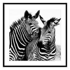 Versa Slikarstvo Zebra Crystal (2 x 50 x 50 cm)