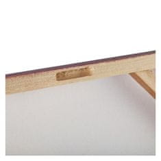 Versa Slikarstvo Versa VS-21750074 Etnična ženska 2,8 x 80 x 80 cm