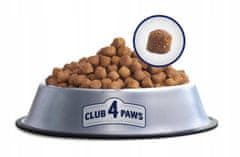 Club4Paws Premium  "Active" popolna suha hrana za aktivne odrasle pse vseh pasem 20 kg