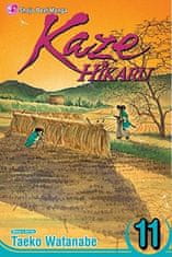 Kaze Hikaru, Volume 11