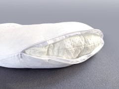 Mediashop Dreamolino Swan Pillow 