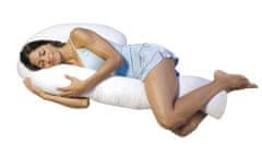 Mediashop Dreamolino Swan Pillow 