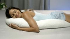 Mediashop Dreamolino Swan Pillow 