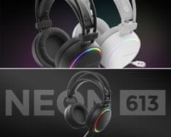 Genesis Neon 613 gaming naglavne slušalke, mikrofon, RGB LED, ćrna
