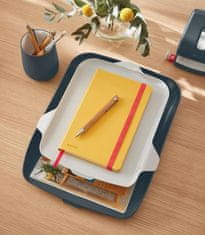 Leitz Predal z organizatorjem Cosy, žametno siva
