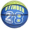 Schreuders Sport Natisni Mini košarkarska zelena žoga velikosti 3