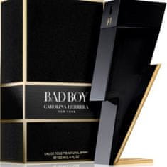 Carolina Herrera Bad Boy - EDT 100 ml