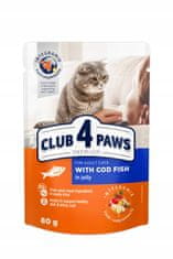 Club4Paws Premium Mokra hrana za mačke - Trska v želeju 24x80g