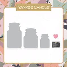 Yankee Candle Darilni komplet: Gift Set 23 3x votivna sveča v steklu 3x37g