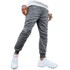 Dstreet Moške športne hlače VETRA svetlo sive barve ux4121 M-L