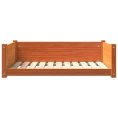Greatstore Pasja postelja voščeno rjava 95,5x65,5x28 cm trdna borovina