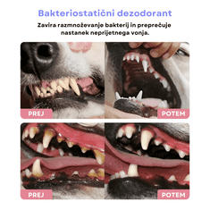 Homey Sprej za ustno higieno | Svež zadah in čisti zobje | Nega zob | Za pse in mačke