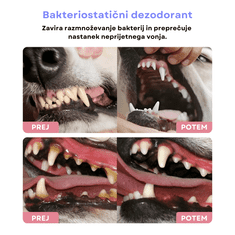 BESTMART Sprej za ustno higieno | Svež zadah in čisti zobje | Nega zob | Za pse in mačke