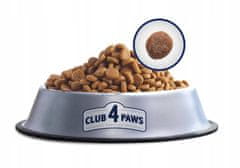 Club4Paws Premium suha hrana za odrasle mačke - telečje meso 14 kg