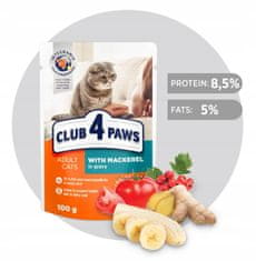 Club4Paws Premium mokra hrana za mačke s skušo v omaki 24x100g