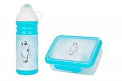 Komplet R&amp;B škatla in steklenica Belous 700ml