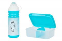 Komplet R&amp;B škatla in steklenica Belous 700ml