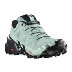 Salomon Čevlji obutev za tek 39 1/3 EU Speedcross 6 Gtx Gore-tex