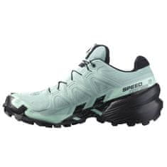 Salomon Čevlji obutev za tek 37 1/3 EU Speedcross 6 Gtx Gore-tex