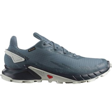 Salomon Čevlji obutev za tek modra Alphacross 4 Gtx Gore-tex
