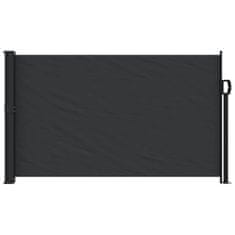Greatstore Zložljiva stranska tenda črna 120x300 cm