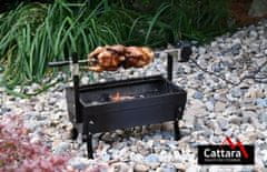 Cattara BARBECUE žar na oglje, 60 cm, črn