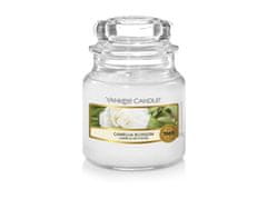 Yankee Candle Sveča Camellia Blossom 104g