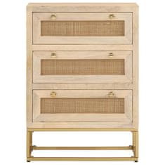 Greatstore Predalnik 55x30x76 cm trden mangov les in železo