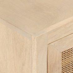 Vidaxl TV omarica 110x30x40 cm trden mangov les in železo
