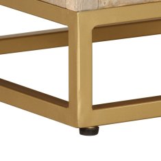 Vidaxl TV omarica 110x30x40 cm trden mangov les in železo