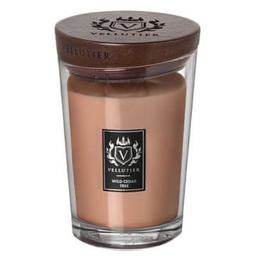 Svíčka Vellutier velká, Wild Cedar Tree, Divoký cedr, 515 g
