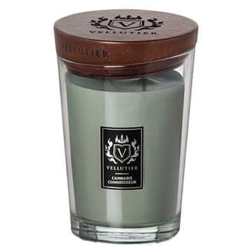 Svíčka Vellutier velká, Cannabis Connoisseur, Znalec konopí, 515 g