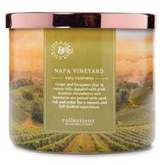 Colonial Candle Svíčka Travel Collection, Napa Vineyard, Vinice Napa, 411 g