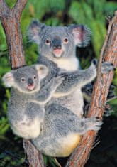 Dino Puzzle Koale na drevesu 500 kosov