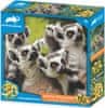 Puzzle Živalski planet: lemur kata 3D 150 kosov
